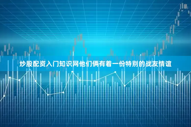 炒股配资入门知识网他们俩有着一份特别的战友情谊