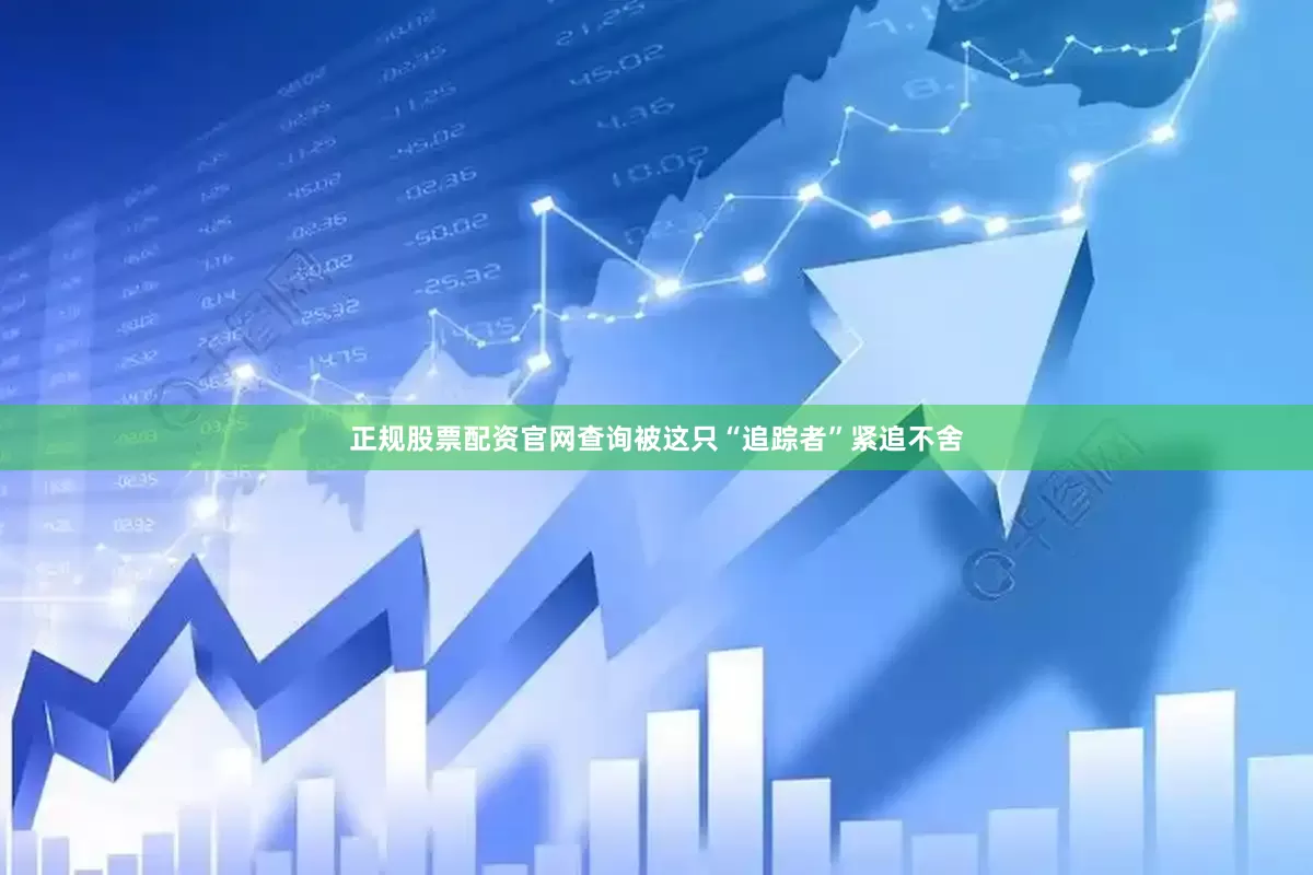 正规股票配资官网查询被这只“追踪者”紧追不舍